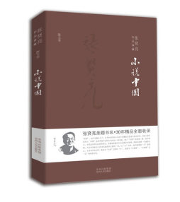 小说中国封面图