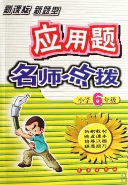 应用题名师点拨封面图