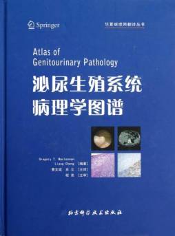 泌尿生殖系统病理学图谱封面图