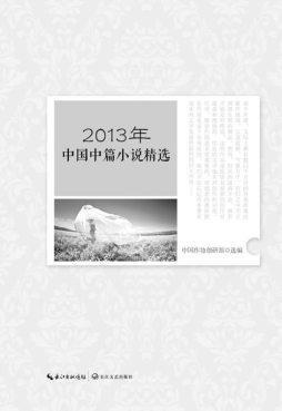 2013年中国中篇小说精选封面图