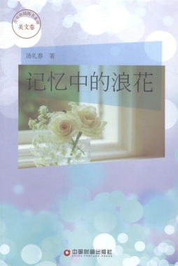 记忆中的浪花封面图