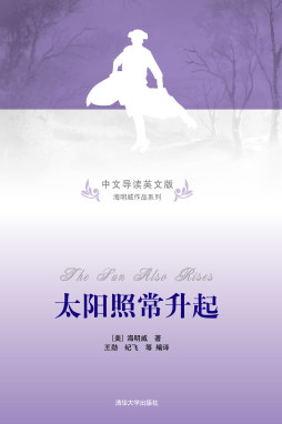 太阳照常升起封面图
