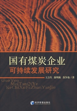 国有煤炭企业可持续发展研究封面图