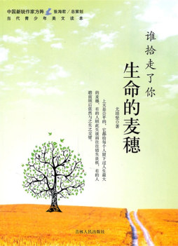 谁拾走了你生命的麦穗封面图