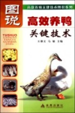 图说高效养鸭关键技术封面图