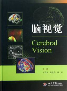 脑视觉封面图