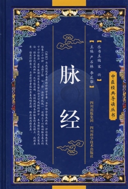 脉经封面图