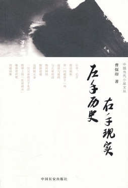 左手历史，右手现实封面图