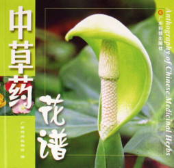 药用植物花谱封面图