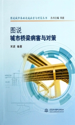 图说城市桥梁病害与对策封面图