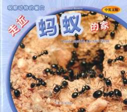 走近蚂蚁的家封面图
