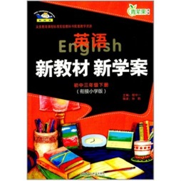 英语新教材新学案封面图