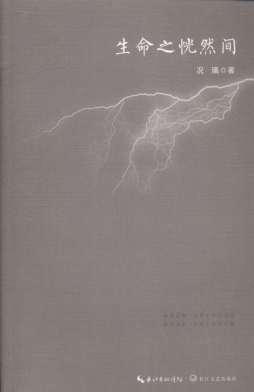 生命之恍然间封面图