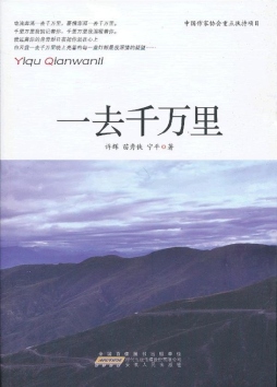 一去千万里封面图