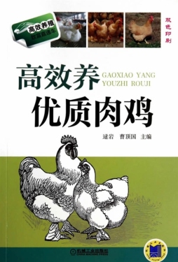 高效养优质肉鸡封面图