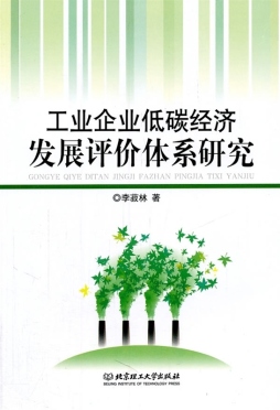 工业企业低碳经济发展评价体系研究封面图