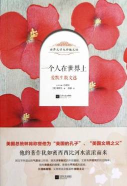 一个人在世界上封面图