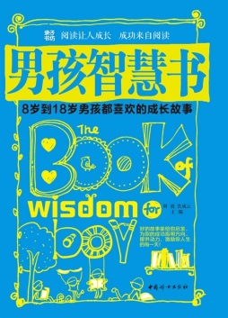 男孩智慧书封面图