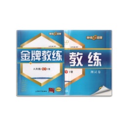 金牌教练封面图