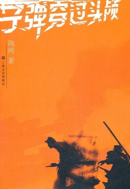 子弹穿过头颅封面图