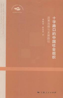 十字路口的中国社会组织封面图