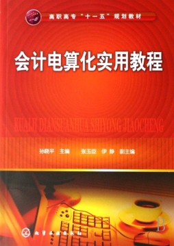 会计电算化实用教程封面图