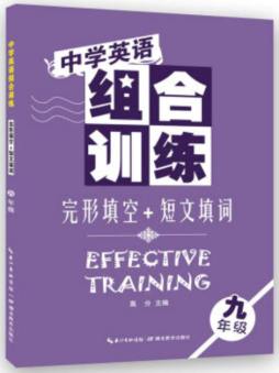 中学英语组合训练封面图