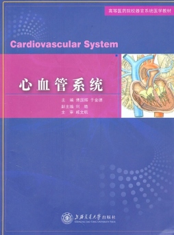 心血管系统封面图