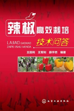 辣椒高效栽培技术问答封面图