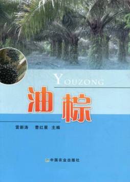 油棕封面图