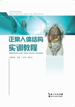 正常人体结构实训教程封面图