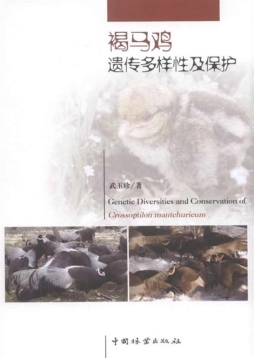褐马鸡遗传多样性及保护封面图