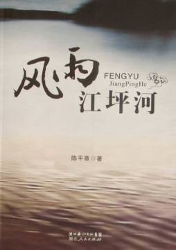 风雨江坪河封面图