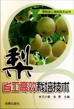 梨省工高效栽培技术封面图