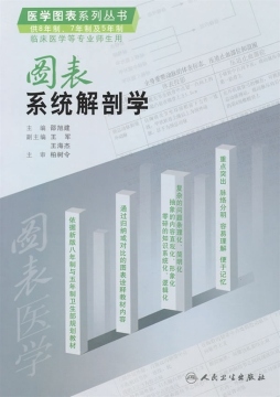 图表系统解剖学封面图