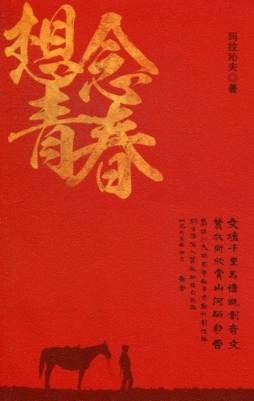 想念青春封面图