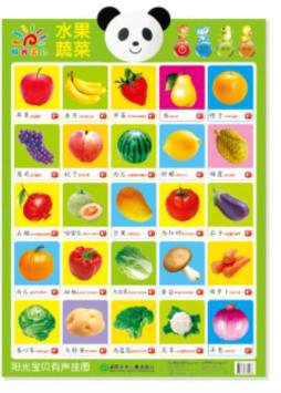 阳光宝贝有声挂图封面图