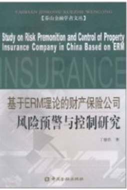 基于ERM理论的财产保险公司风险预警与控制研究封面图