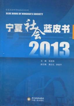 2013宁夏社会蓝皮书封面图