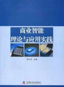 商业智能理论与应用实践封面图