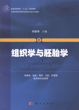 组织学与胚胎学封面图