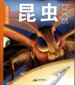 昆虫封面图