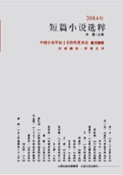 2014年短篇小说选粹封面图