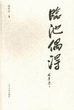 临池偶得封面图