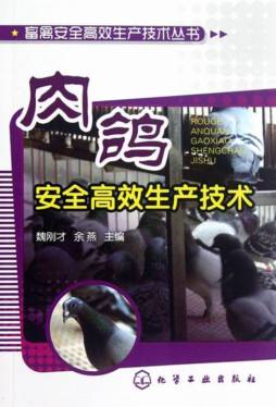 肉鸽安全高效生产技术封面图