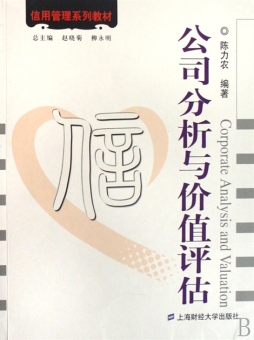 公司分析与价值评估封面图