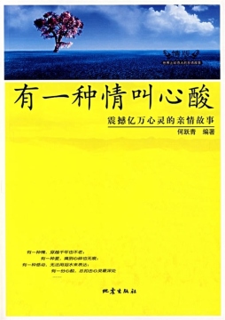 有一种情叫心酸封面图