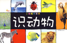 识动物封面图