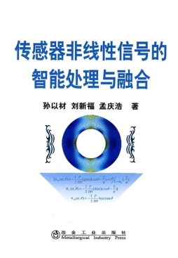 传感器非线性信号的智能处理与融合封面图