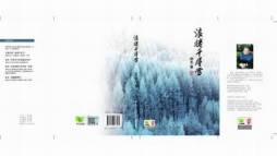 浪卷千层雪封面图